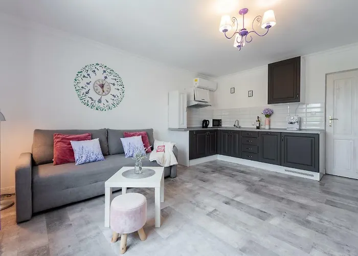 Lu 公寓 奥斯威辛