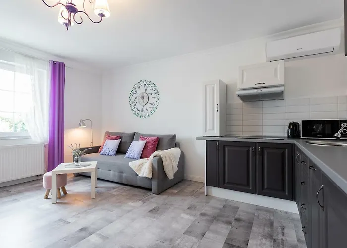 Lu 公寓 奥斯威辛