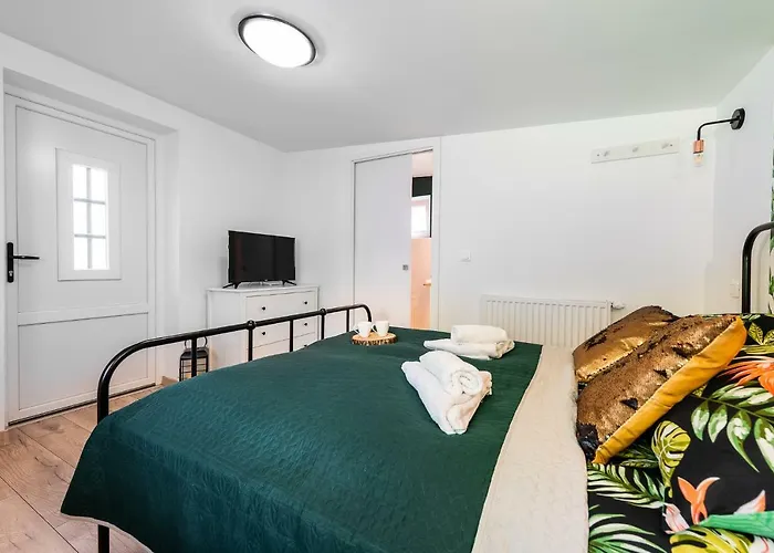 Lu 公寓 奥斯威辛