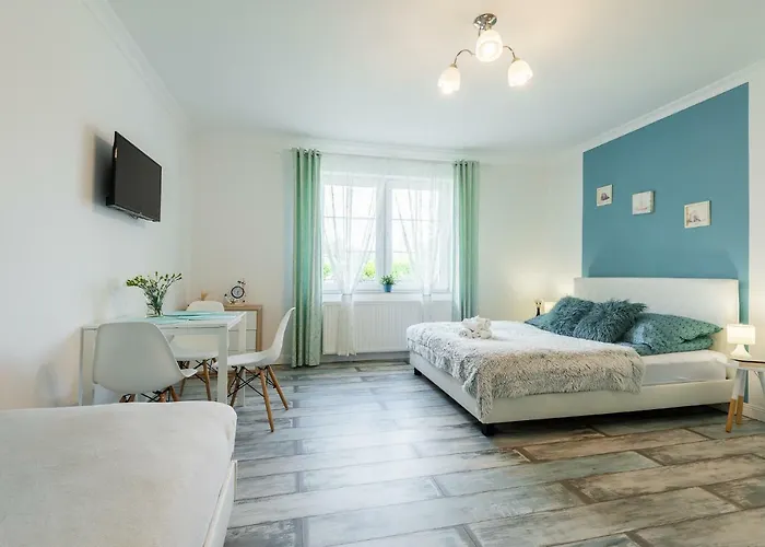 Lu 公寓 奥斯威辛