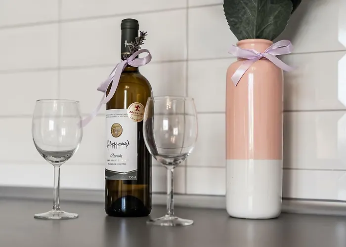 Lu 公寓 奥斯威辛